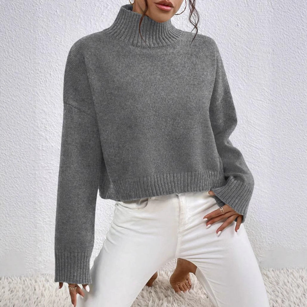 Pull Femme à Col V avec Manches Longues Lucyle