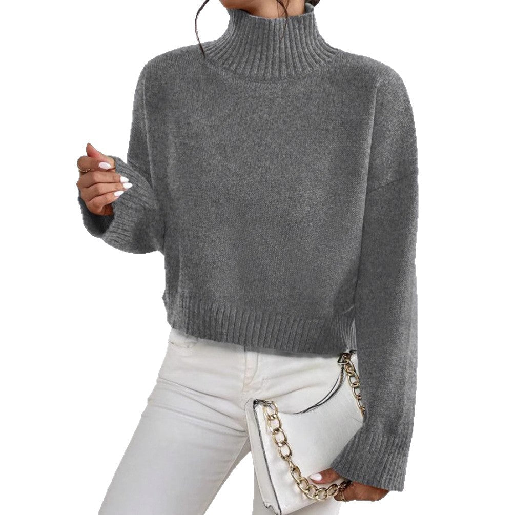Pull Femme à Col V avec Manches Longues Lucyle