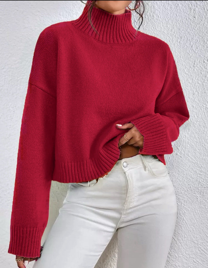 Pull Femme à Col V avec Manches Longues Lucyle