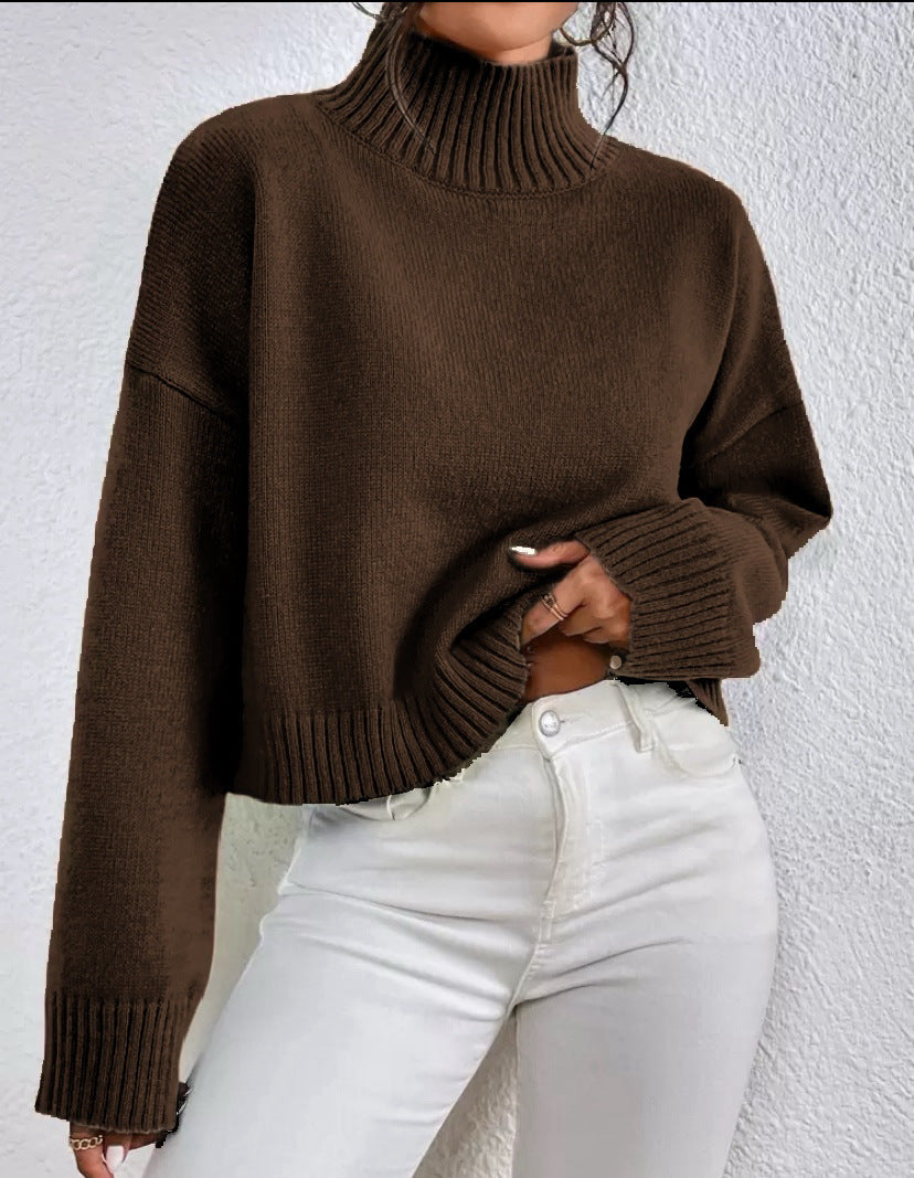 Pull Femme à Col V avec Manches Longues Lucyle