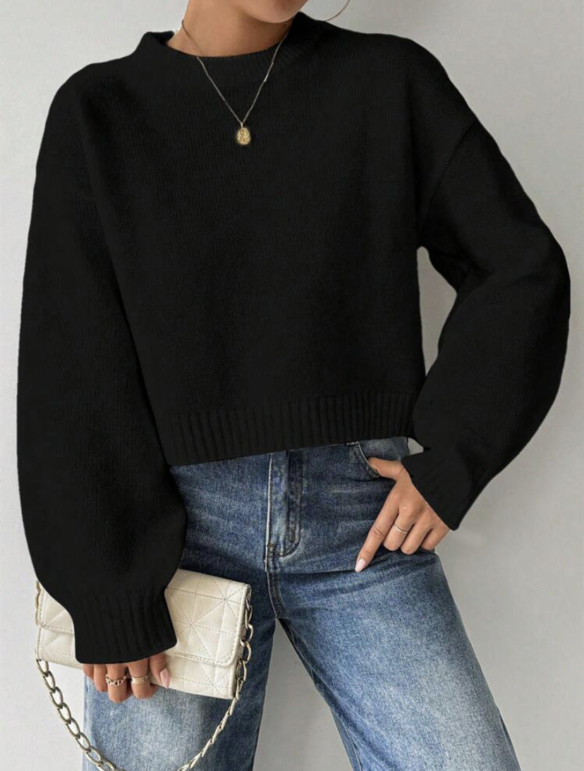Pull Femme en Maille Fine avec Encolure Ronde Lucyle